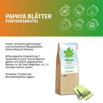 Papaya Blätter und Stängel in Tee-Beutel