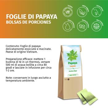 Papaya Blätter und Stängel in Tee-Beutel