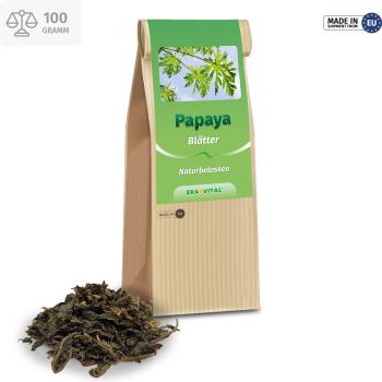 Papaya Blätter und Stengel geschnitten