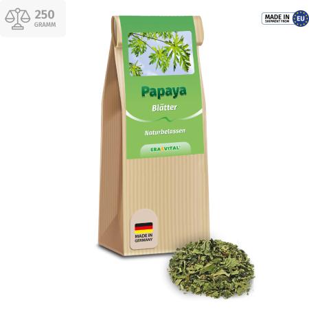 Preview: Papaya Blätter und Stängel geschnitten aus Indien (Carica papaya)