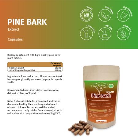 Pinien Rinden Extrakt Kapseln