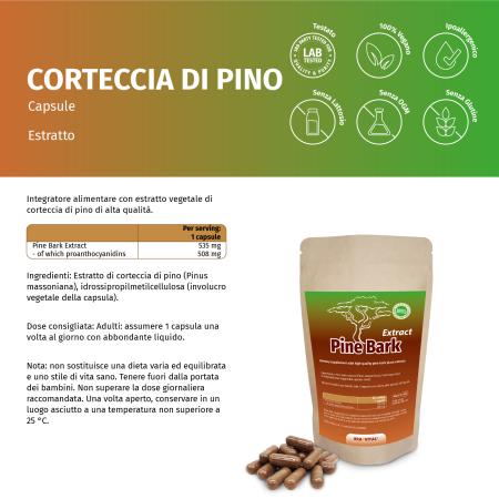 Pinien Rinden Extrakt Kapseln