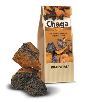 Chaga-Pilz natur Brocken wildsammlung aus Sibirien - Kostenlose Probe*