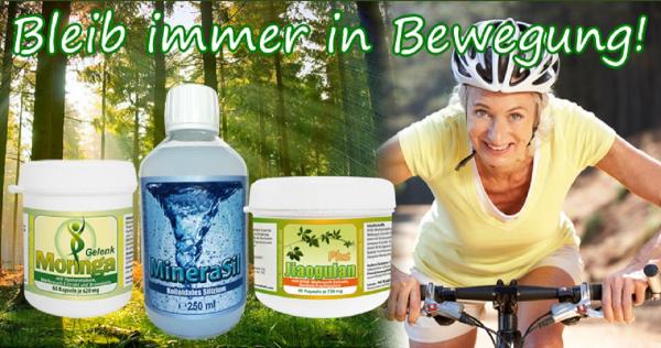 Jiaogulan MSM Weihrauch kolloidales Silizium Moringa Gelenk mit Bacillus Subtilis DSM 21097 Jiaogulan MSM Weihrauch kolloidales Silizium Moringa Gelenk mit Bacillus Subtilis DSM 21097