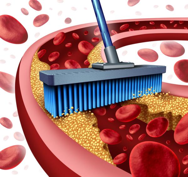 Ernährung Blutfette Blutgefäße Fettsäuren Cholesterin
