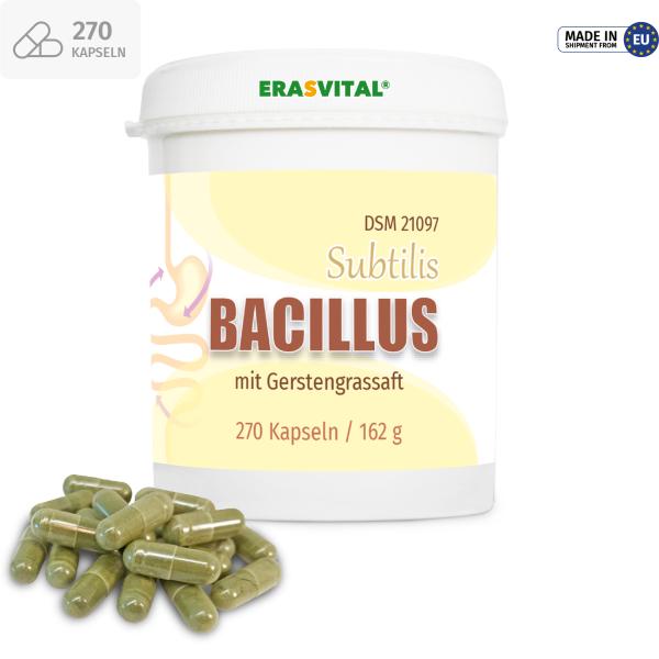 Bacillus Subtilis DSM 21097 mit Gerstengrassaft – Probiotische Kapseln in Dose