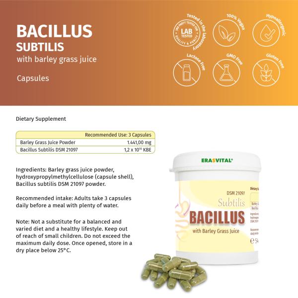 Bacillus Subtilis DSM 21097 mit Gerstengrassaft – Probiotische Kapseln in Dose
