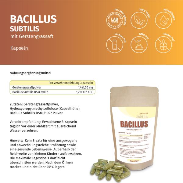 Bacillus Subtilis DSM 21097 mit Gerstengrassaft – Probiotische Kapseln im Standbeutel