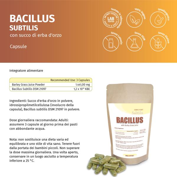 Bacillus Subtilis DSM 21097 mit Gerstengrassaft – Probiotische Kapseln im Standbeutel