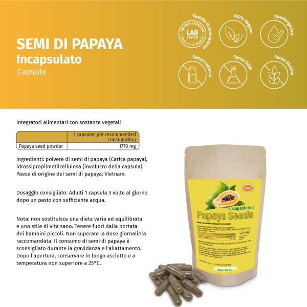 Papaya-Kerne gemahlen verkapselt