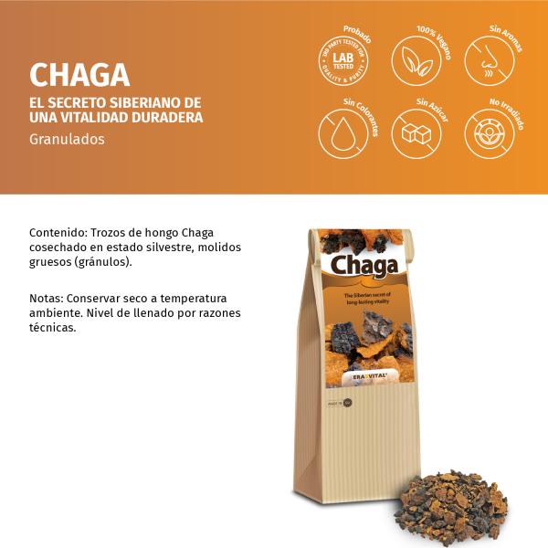 Chaga-Pilz - grob gemahlene Brocken - Wildsammlung