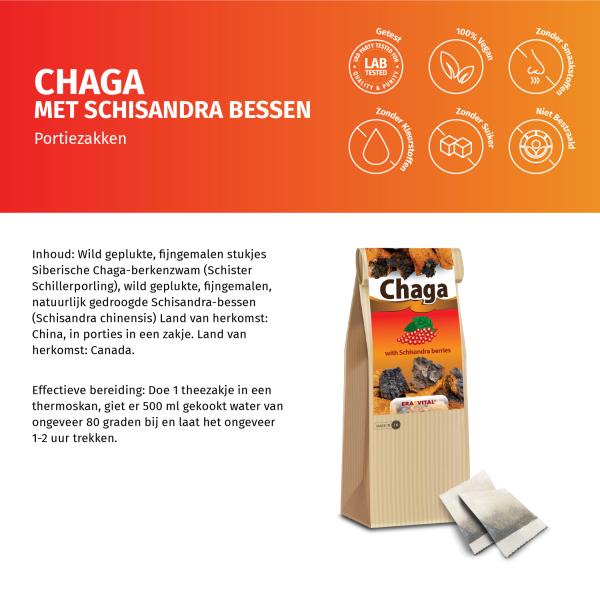 Chaga-Pilz mit Schisandrabeeren im Teebeutel