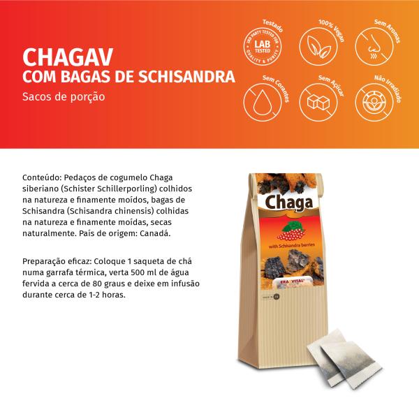 Chaga-Pilz mit Schisandrabeeren im Teebeutel