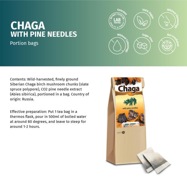 Chaga-Pilz mit Tannennadeln - Im Teebeutel