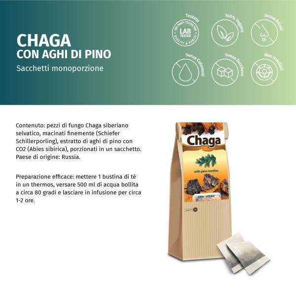 Chaga-Pilz mit Tannennadeln - Im Teebeutel