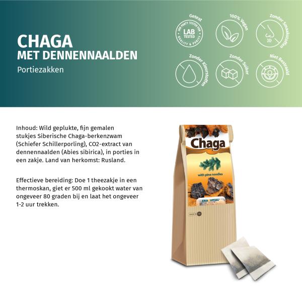 Chaga-Pilz mit Tannennadeln - Im Teebeutel
