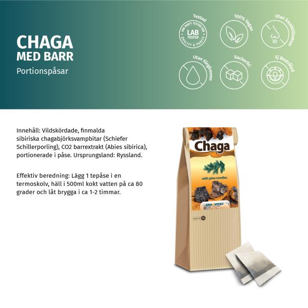 Chaga-Pilz mit Tannennadeln - Im Teebeutel