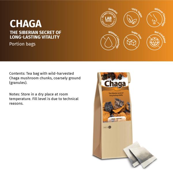 Chaga-Pilz im Teebeutel