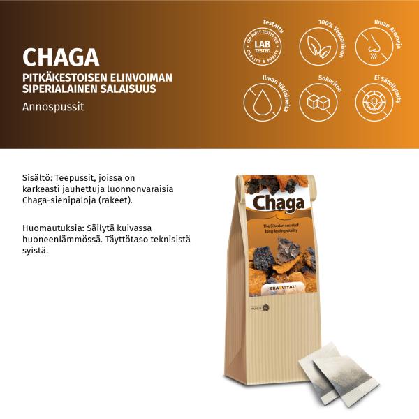 Chaga-Pilz im Teebeutel