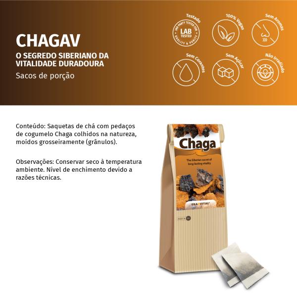 Chaga-Pilz im Teebeutel
