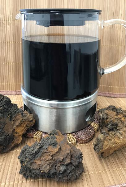 Chaga-Pilz grob vermahlen Tee-Ei  wildgeerntet in sibirien