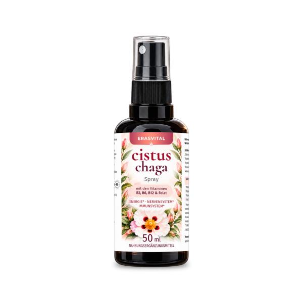 zistrose chaga pilz vitamin b6 b12 b9 folat Pyridoxal-5-Phosphat Methylcobalamin und Adenosylcobalamin L-5-Methyltetrahydrofolate Calcium Rechtsdrehende L(+) Milchsäure