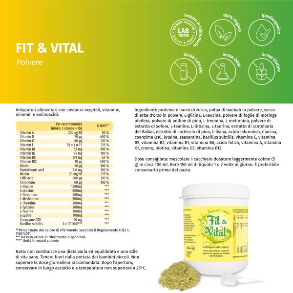 Fit & Vital Pulver - Erfolgreiche Darmsanierung & mehr Energie im Alltag