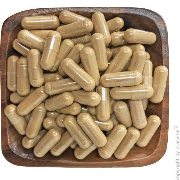 Grapefruitkern Extrakt (50 % Bioflavonoide), Zistrose Extrakt 20% Polyphenolenб Klettenwurzel-Extraktpulver 10:1 (Arctikum Lappa)