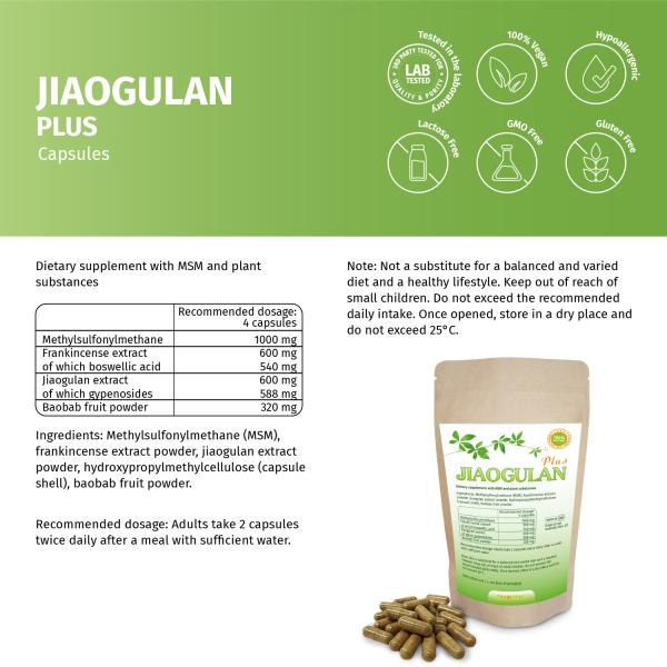 Jiaogulan Plus Kapseln