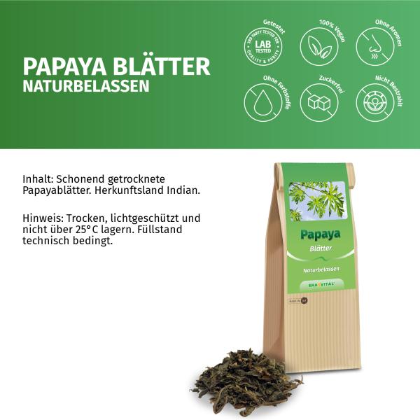 Papaya Blätter und Stängel geschnitten, Indien