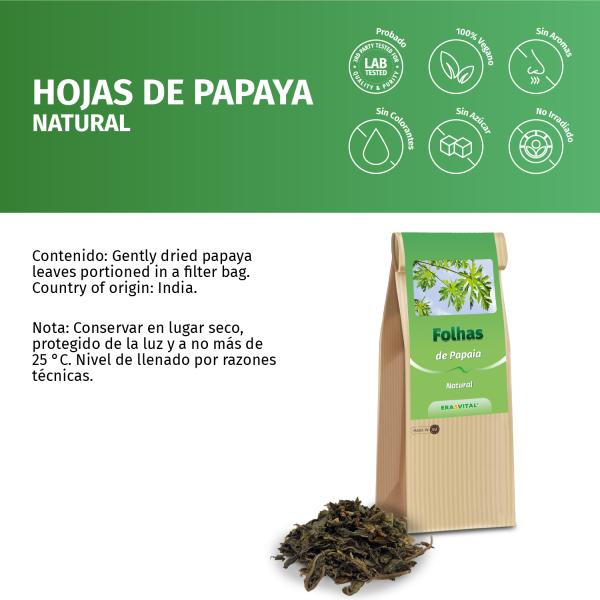 Papaya Blätter und Stängel geschnitten, Indien