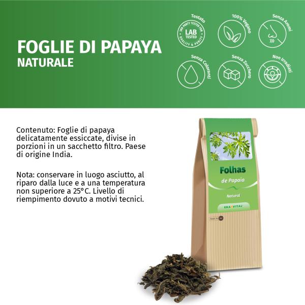 Papaya Blätter und Stängel geschnitten, Indien