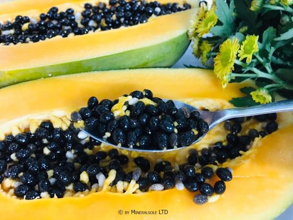 Papaya Kerne schonend getrocknet