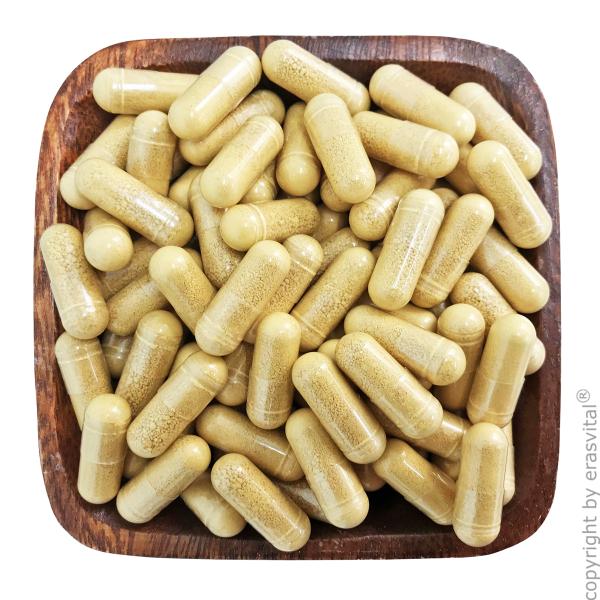 Mariendistel Extrakt pinien pollen baobab jiaogulan kierferpolen