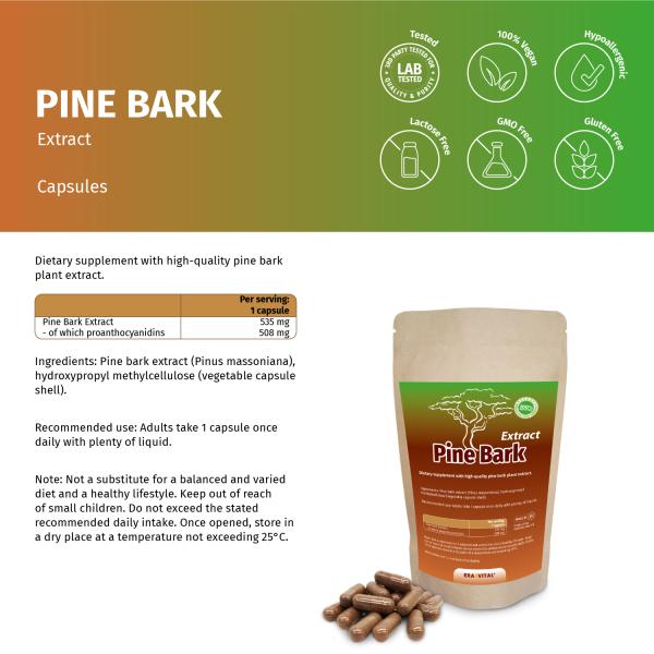 Pinien Rinden Extrakt Kapseln