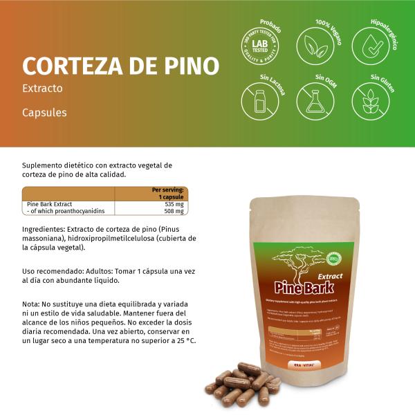 Pinien Rinden Extrakt Kapseln