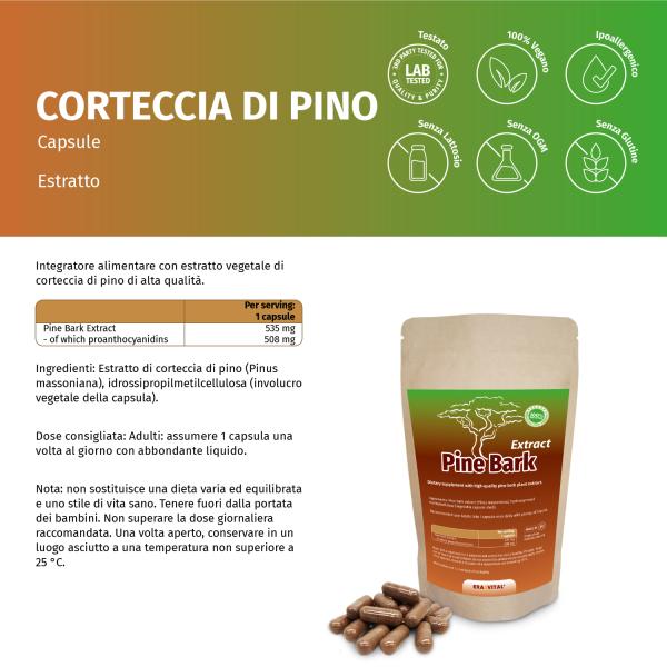 Pinien Rinden Extrakt Kapseln