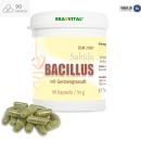 Bacillus Subtilis DSM 21097 mit Gerstengrassaft – Probiotische Kapseln in Dose
