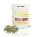 Bacillus Subtilis DSM 21097 mit Gerstengrassaftpulver Kapseln - Vegan