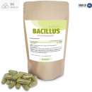 Bacillus Subtilis Kapseln hochdosiert mit Gerstengrassaft – 200 Billionen KBE – Vegan