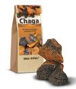 Chaga-Pilz - natur Brocken - Wildsammlung