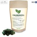 Chlorophyll für Menschen mit starkem Schwitzen, Mund- oder Körpergeruch