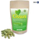 Cissus Osteo Plus Kapseln
