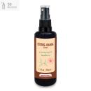 Cistus - Chaga mit hochdosierten Vitaminen B6, B12, B9 (Folat) I eine Kostenlose Probe*