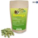 Moringa Oleifera Samen und Pulver