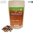 Pinienrinden-extrakt opc proanthocyanid  Kapseln